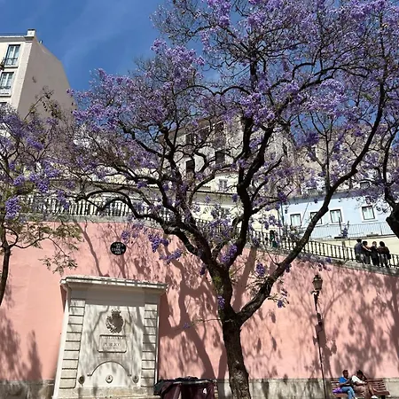 Serena -your Exclusive Private Swimming Pool * Setubal